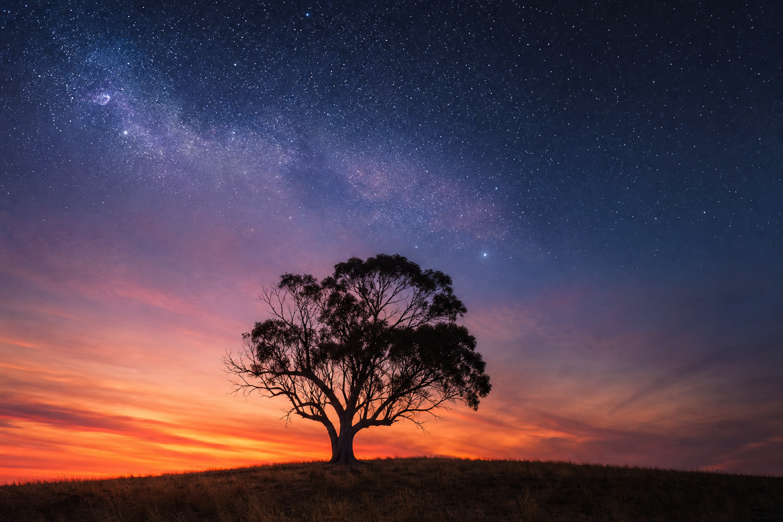 A lone Australian eucalyptus tree silhouetted against a vast sky transitioning from warm sunset orange to deep indigo and stars