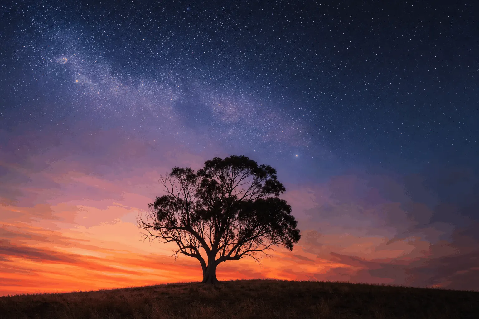 A lone Australian eucalyptus tree silhouetted against a vast sky transitioning from warm sunset orange to deep indigo and stars