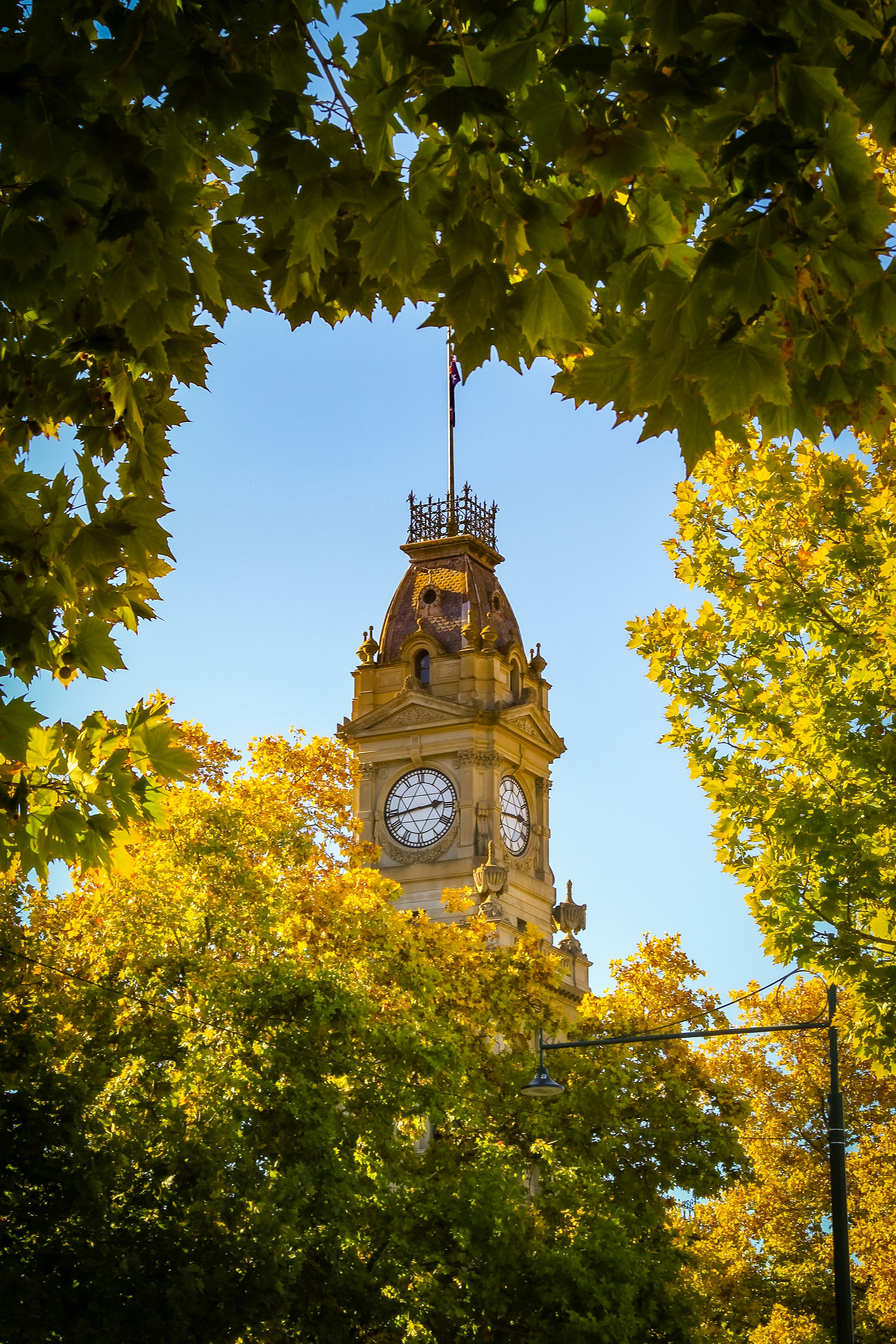 Bendigo's post office clock tower in autumn — Bendigo's home market