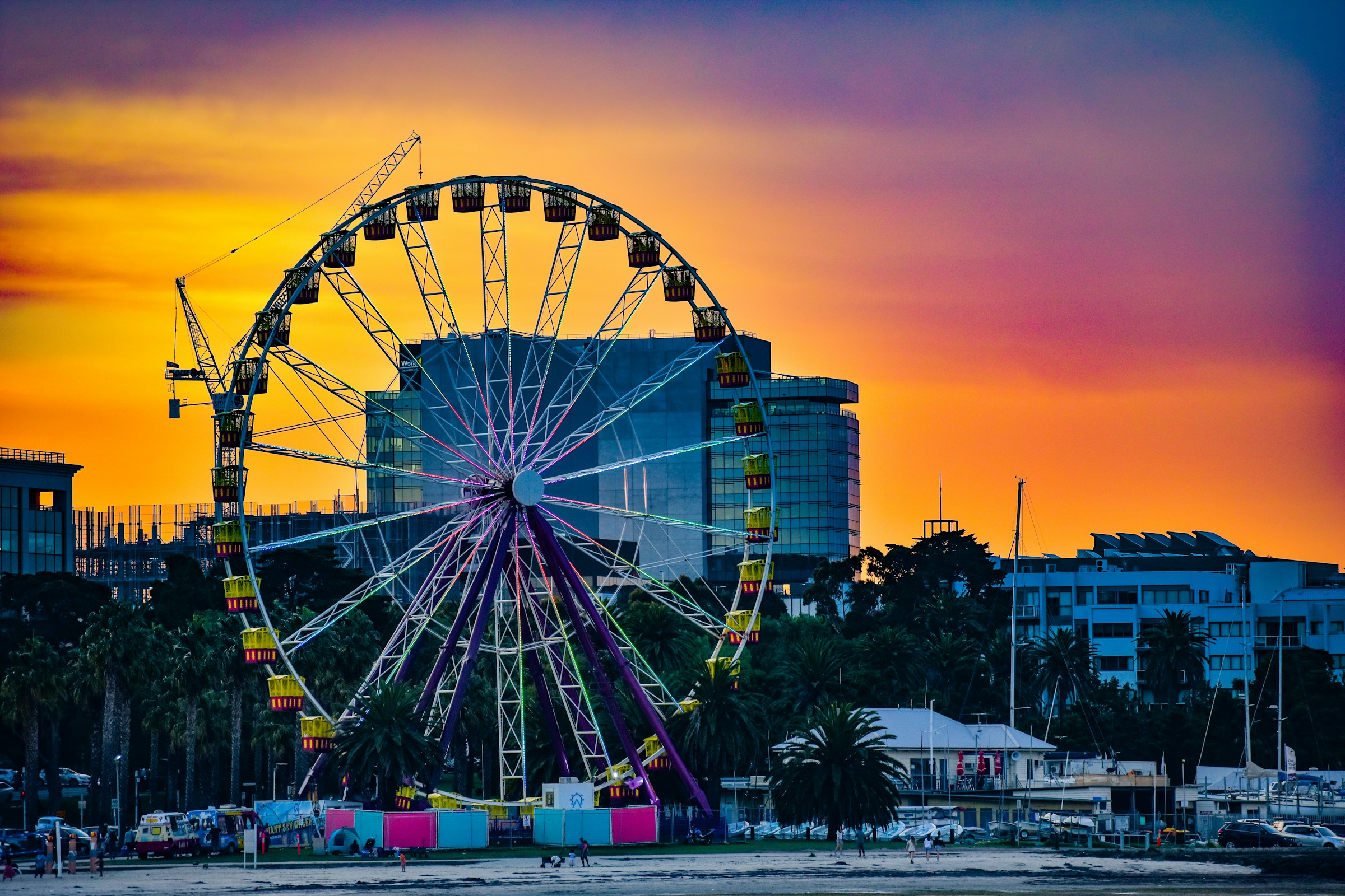The Geelong waterfront ferris wheel at sunset — Highton's home market