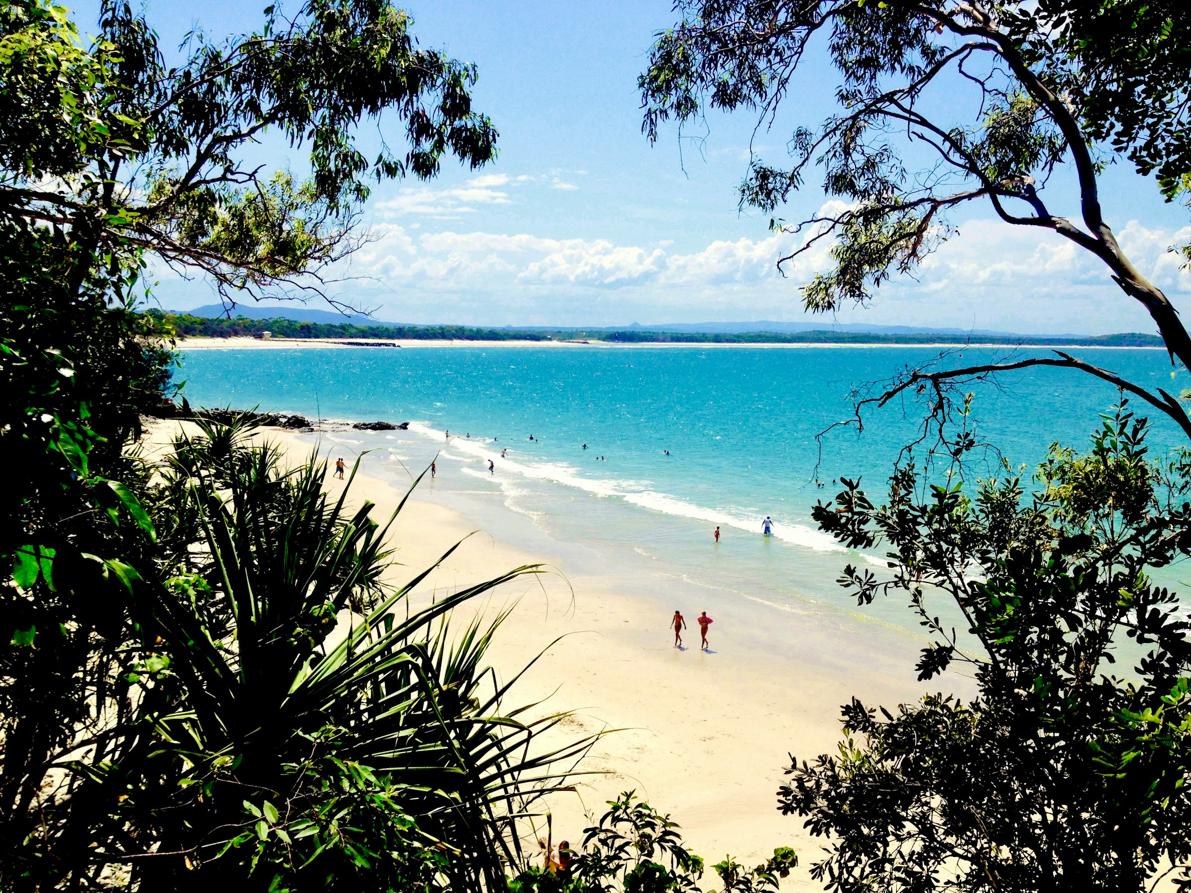 A Sunshine Coast beach through the pandanus — Maroochydore's home market