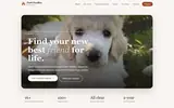 Parti Poodles Australia website